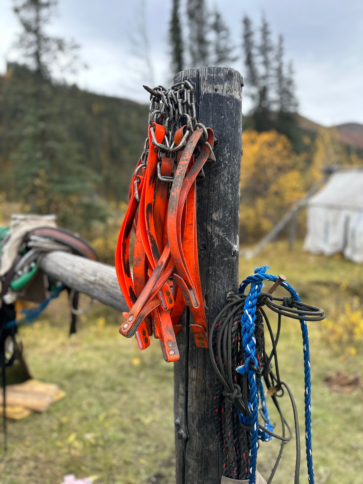 Custom Pack Rigging